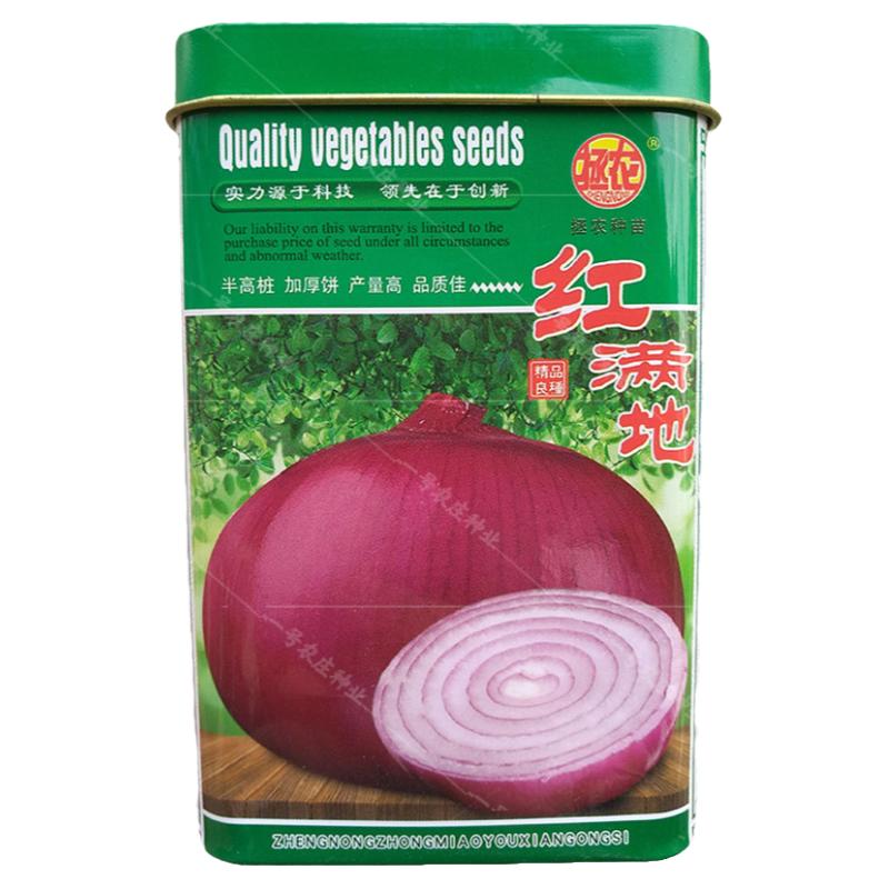 紫红皮白肉洋葱种籽孑半高桩高达