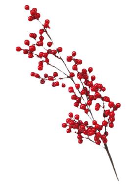 仿真果子北美红色浆果新年装饰摆件节日喜庆冬青果红果 发财果