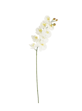 仙气高端装饰花玄关蝴蝶兰摆件
