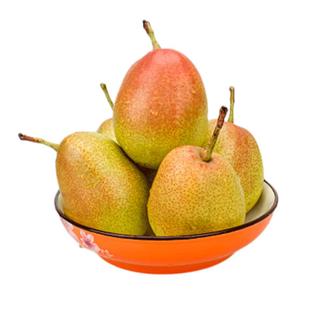 红香酥梨子新鲜水果现摘应当季整箱10斤酥脆青雪贡冠梨5孕妇专用