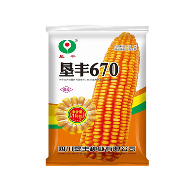 矮杆玉米种子垦丰670大棒