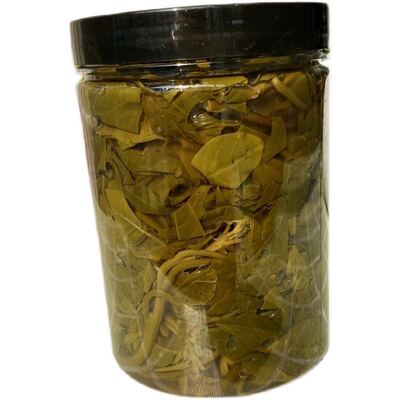 云南野菜临沧耿马帕贡菜树头菜