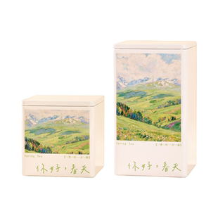 茶叶罐密封罐绿茶龙井毛尖通用储存罐茶叶盒茶包装定制马口铁茶罐