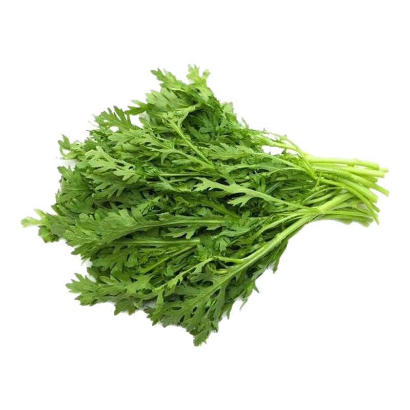 小叶茼蒿种子皇帝菜籽速生耐寒鲜嫩茼蒿种籽四季耐热秋播蔬菜种子