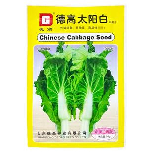 德高太阳白白菜苔种子早熟甜白菜心种籽多芽菜薹青菜籽种蔬菜种孑