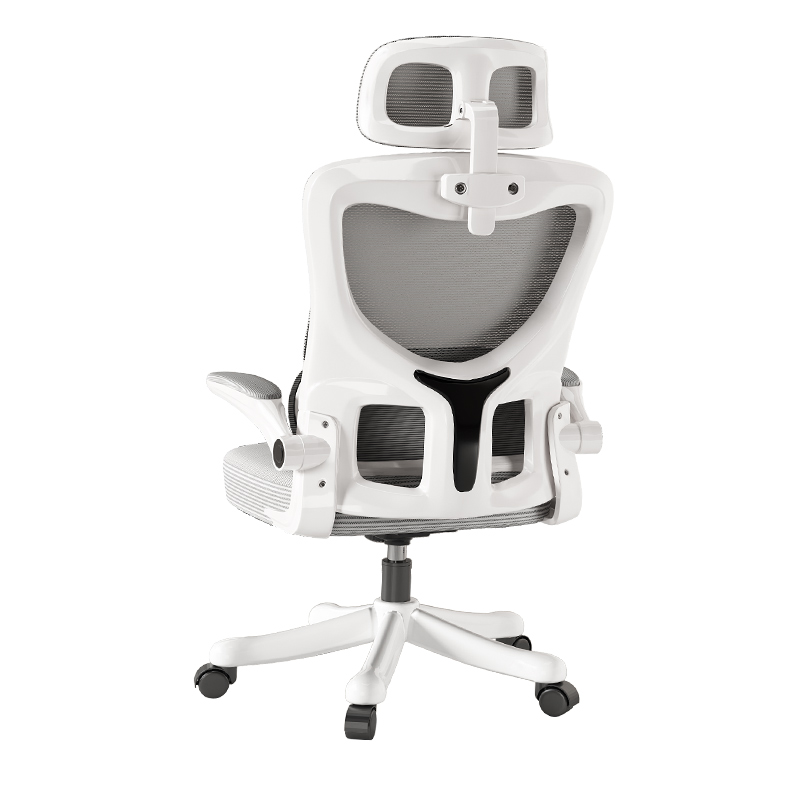 人体工学椅子电脑椅家用舒适久坐书桌椅宿舍护腰电竞椅男办公座椅
