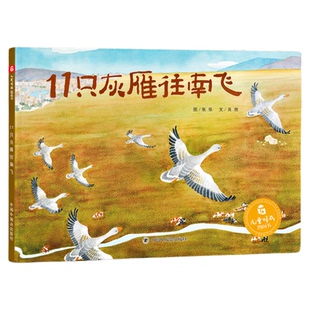 11只灰雁往南飞精装孩子探索世界热爱祖国的诗意科学绘本许多民族的风土人情3-6岁幼儿中国中福会出版社正版