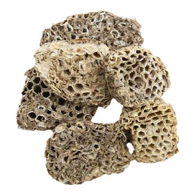 京皖 蜂房10g 中药饮片 中药材抓配 中草药材店 旗舰店正品