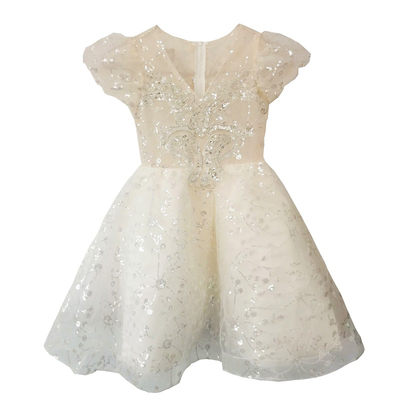 女童礼服冬季儿童生日公主裙