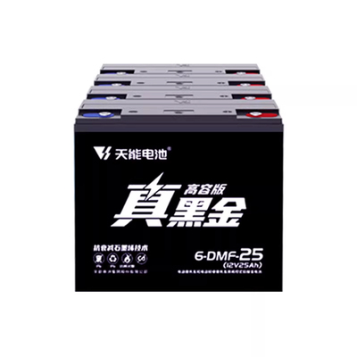 天能电池真黑金石墨烯铅酸电池25