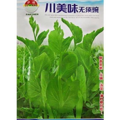 豌豆苗尖种子四川农家田园蔬菜籽