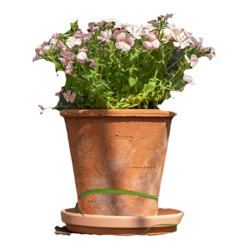 红陶花盆透气养根简约
