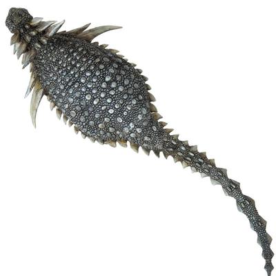 艾萨克成长陪伴模型PNSO恐龙