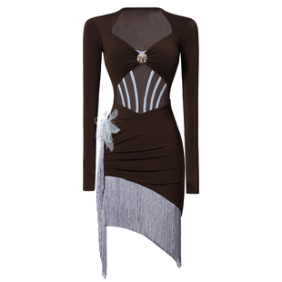 美辰[可可露丽]拉丁舞服新款连衣裙冬装网纱流苏舞蹈练功服成人女