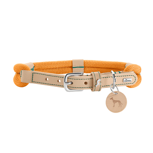 hunter德国狗狗真皮双生项圈中大型犬时尚狗颈链宠物狗牵引绳脖套