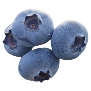 树上自然熟云南花香蓝莓鲜果当季新鲜现摘L25脆甜香孕妇宝宝辅食