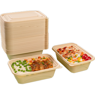 云蕾一次性可降解餐盒650ML*60套带盖外卖打包方盒便当保鲜盒碗