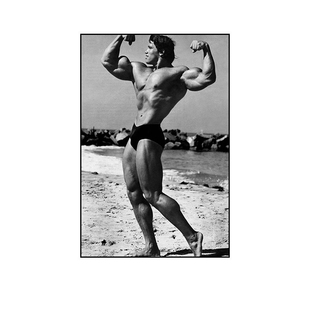 健身房装饰画施瓦辛格健美运动员挂画肌肉男励志运动自律宣传壁画