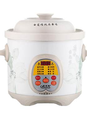 电炖锅快速智能熬煮粥神器5人