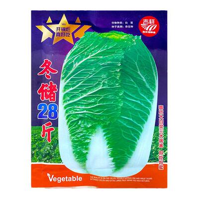 冬储28斤秋播大白菜种子特大