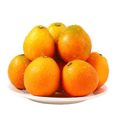 产地直发正宗三代脆蜜金桔