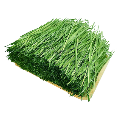 岷县头茬提摩西烘干草荷兰猪专用