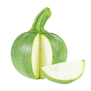 嫩瓜专用圆形西葫芦种子苗高产四季盆栽西胡芦种籽蔬菜蔬莱瓜孑