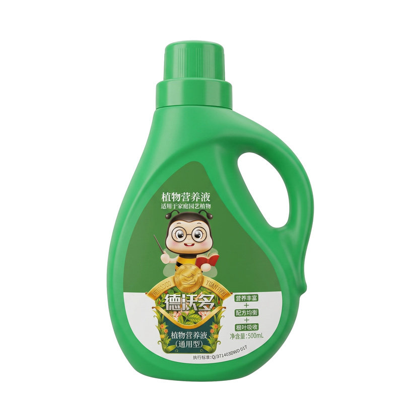 营养液水培花卉富贵竹家用盆栽