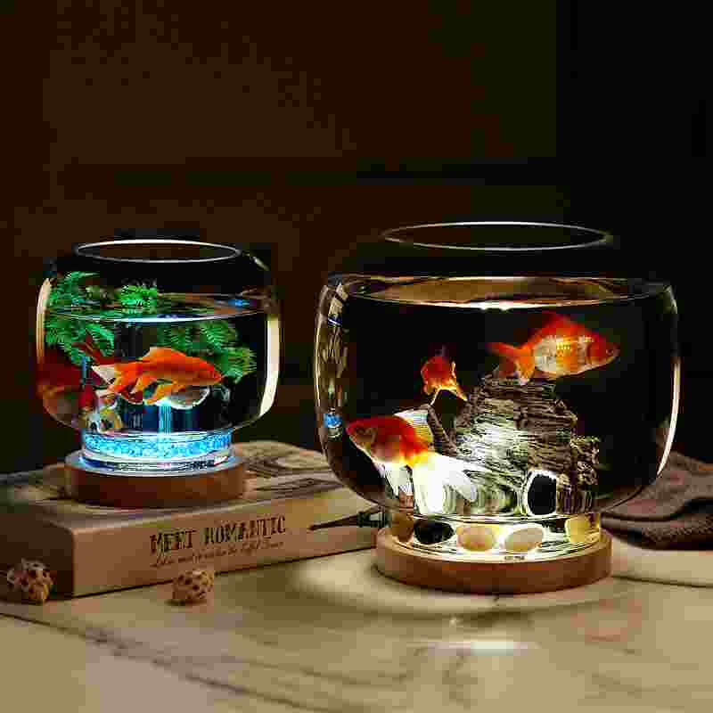 创意圆形玻璃小号热带缸生态观赏鱼缸桌面灯光底座假山缸摆件