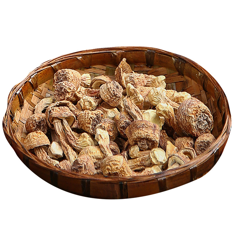 四川特产野生菌包邮姬干货