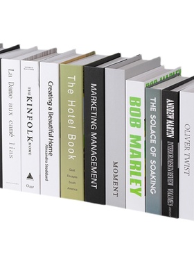 现代风格黑白灰跳色电视柜仿真书