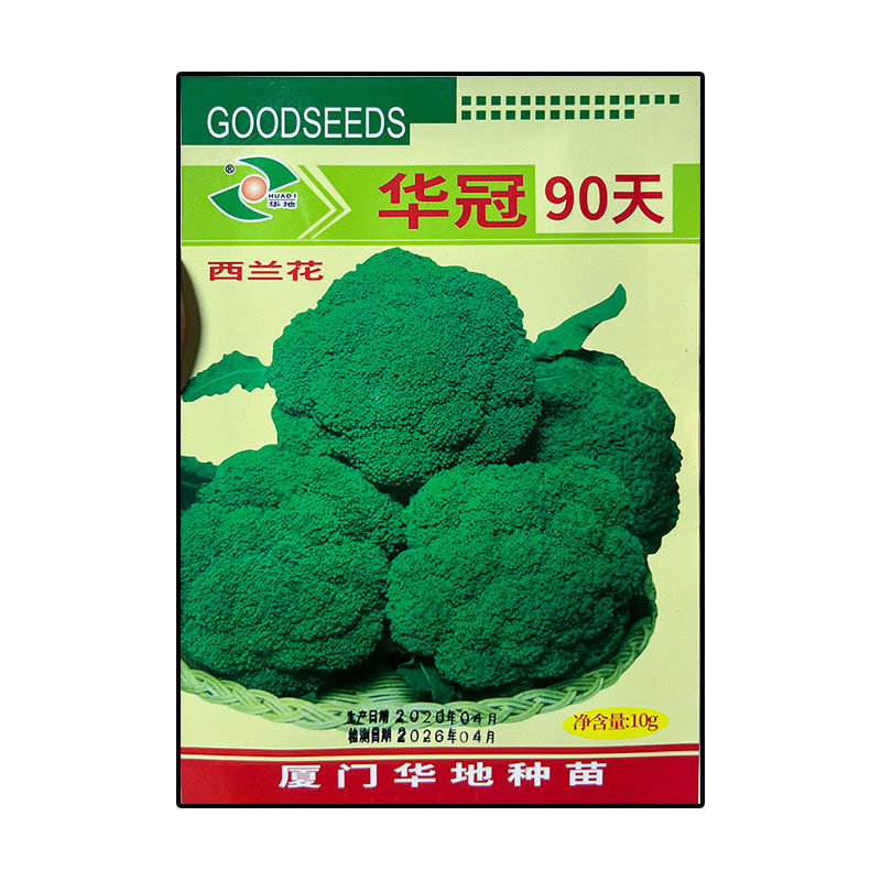 华冠90天10g西兰花种子孑籽青花