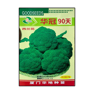 华冠90天10g 西兰花种子孑籽青绿花菜美国洋甘蓝花椰菜宝塔菜大田