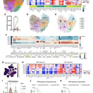 生信分析单细胞转录组TCGA 化定制分析服务 GEO数据库挖掘分析个性