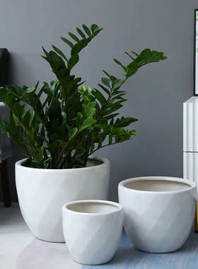 白色陶瓷绿植盆时尚简约家用室内外金钱树花盆特大号龟背竹发财树