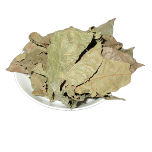 高品质青钱柳茶叶青钱柳调理糖嫩叶降养生清金钱柳嫩芽原叶茶250g