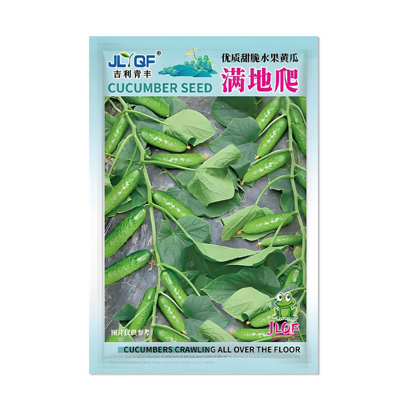 吉利青丰满地爬水果黄瓜种子