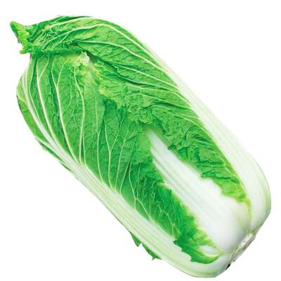 大白菜种子黄心耐寒种子大全