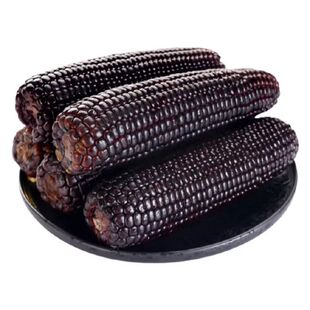 2025东北黑糯玉米新鲜甜糯黑玉米加热即食真空装袋黏粘苞米代早餐