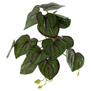 仿真绿植小造景配件组合角落橱窗装饰布置仿生景观室内高级假植物