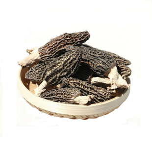 特价野生羊肚菌干货 云南羊肚菌500g 新鲜特级羊肚蘑菇野生菌汤包