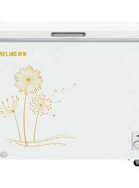 商用单温卧室节能冰柜
