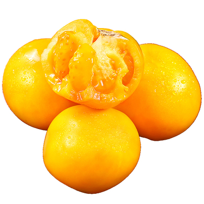 五原柿子现摘现发自然成熟