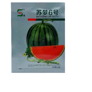 苏梦6号小糖丸西瓜种子早熟迷你小果型薄皮西瓜高产高糖酥脆圆形
