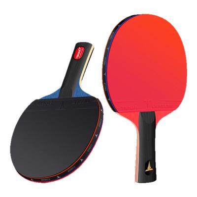 TIBHAR乒乓球拍专业级蓝海绵球拍