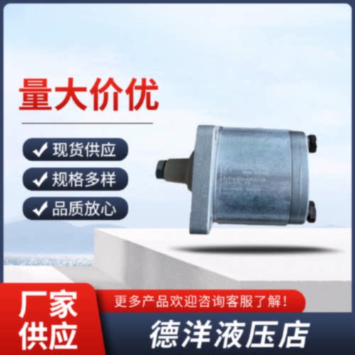 询凯斯帕CASAPPA齿轮泵PLP.3022273438435161738290油泵