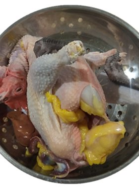 三年黄油母鸡笨鸡沂蒙山土鸡草鸡