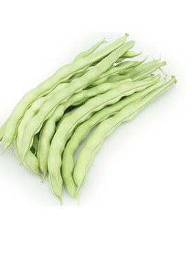 九粒白不老来少芸豆架豆种子豆角四季菜豆春季秋冬农家蔬菜种孑籽