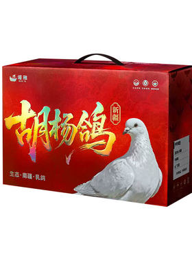 新疆特产乳鸽礼盒装礼盒装