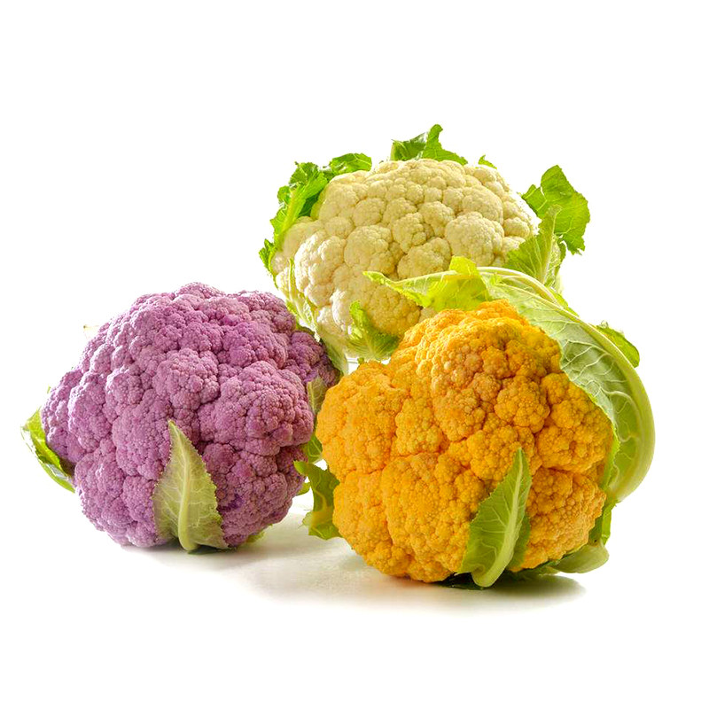 新品花椰菜种子籽春秋彩色菜花种子紫黄绿蔬菜种子大田四季播包邮